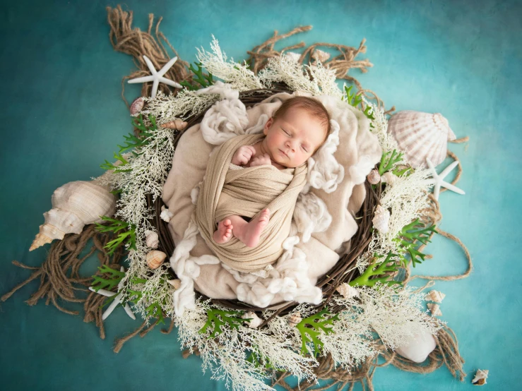 a baby is sleeping in a nest with flowers and shells