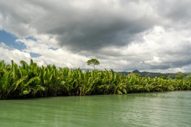 the view from a boat in water surrounded by trees