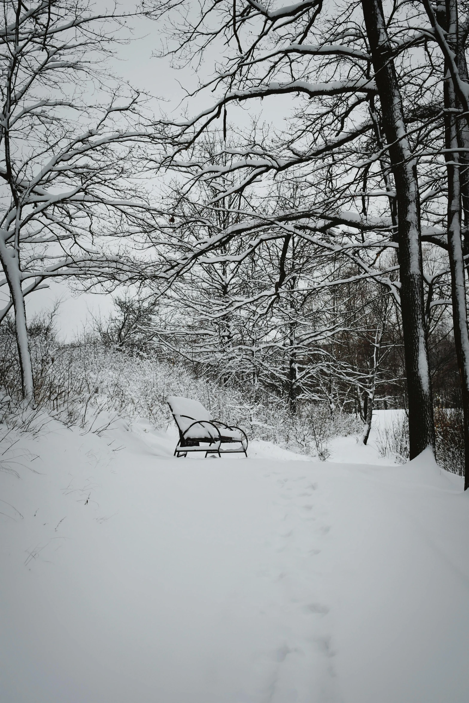 a bench sitting next to a forest filled with snow