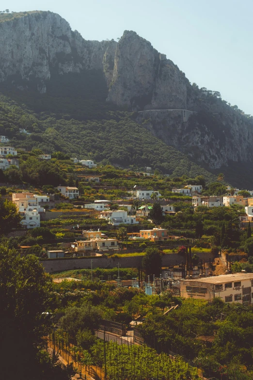 many trees are around the city in front of mountains