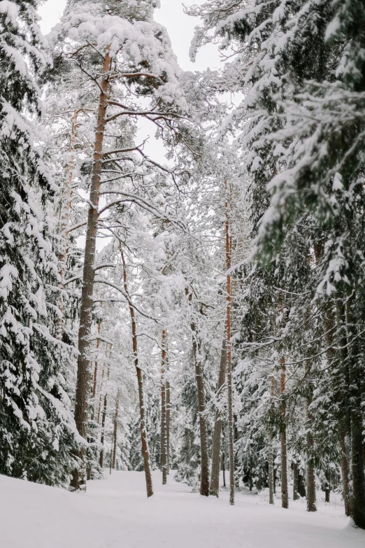 a person walking on skis through the snow