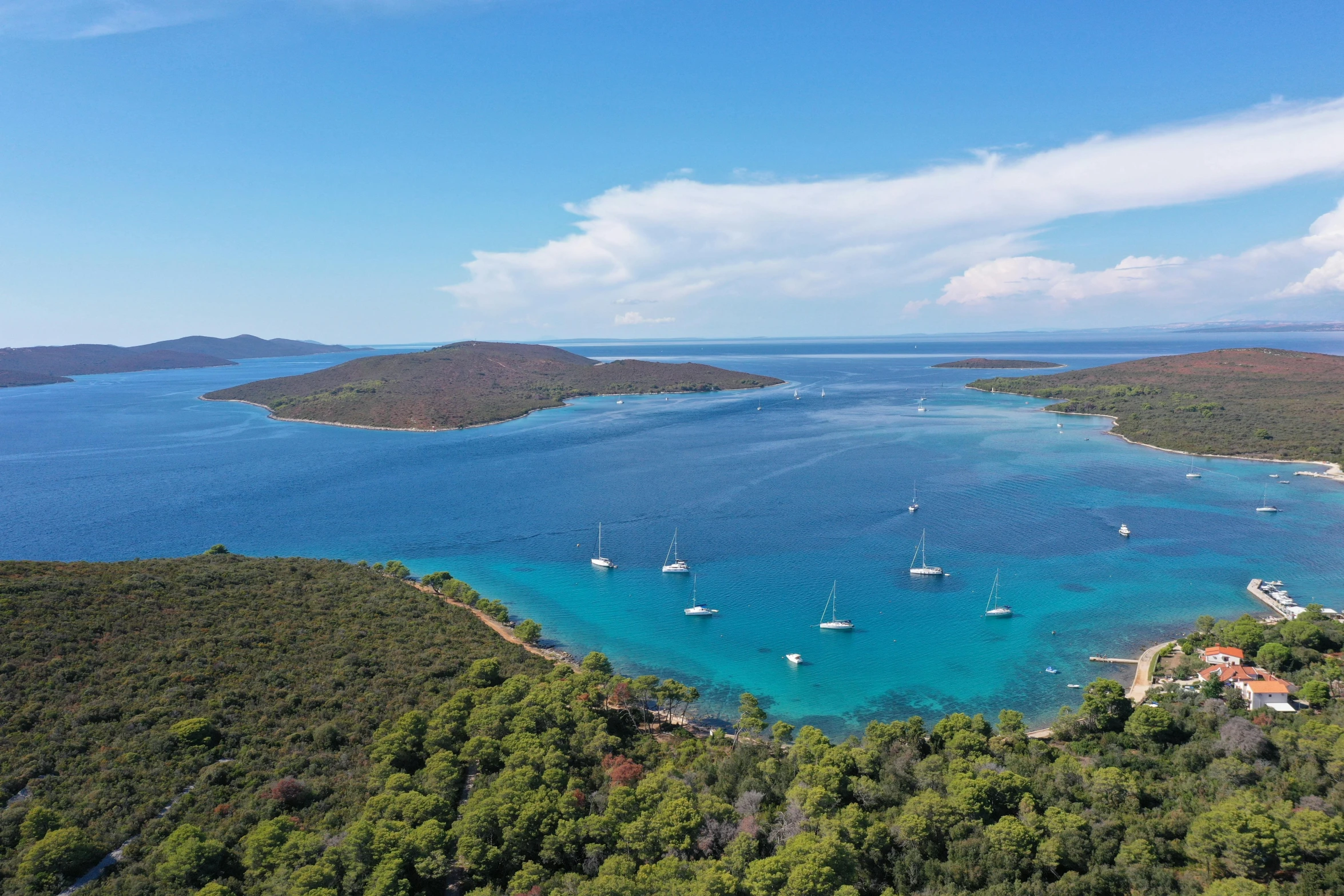 the view of a large bay and some trees