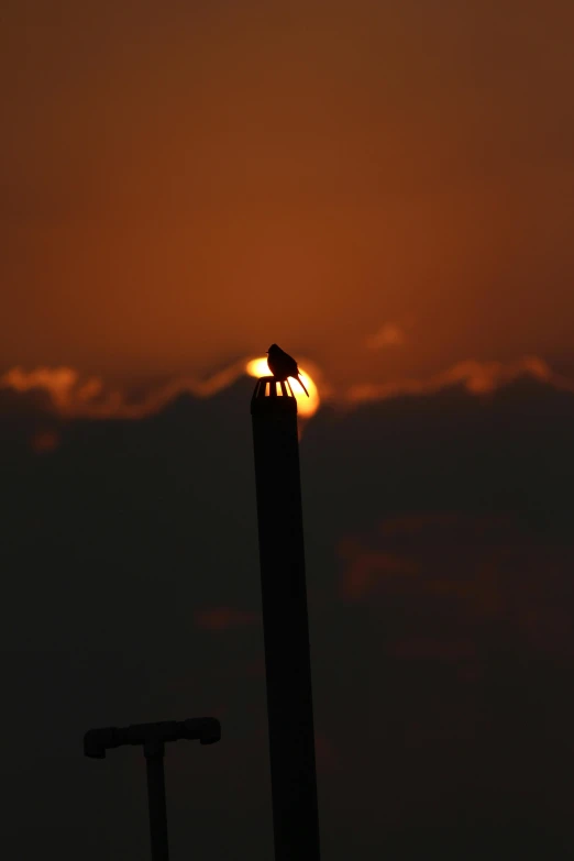 the sun sets behind a tall pole with a bird on it