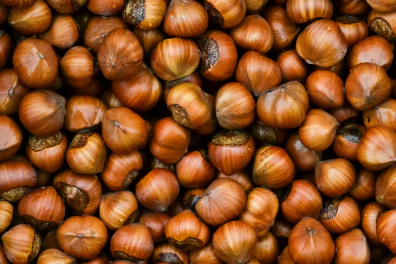 a group of brown pieces of nuts