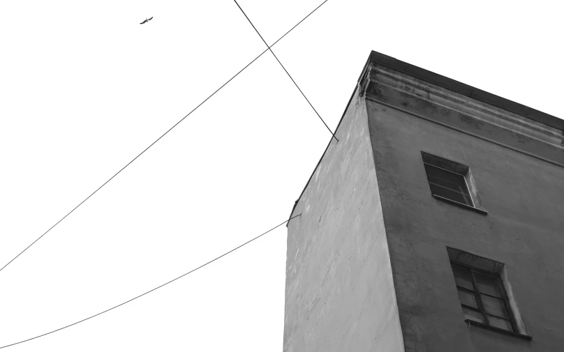 birds fly over an old tower and other buildings