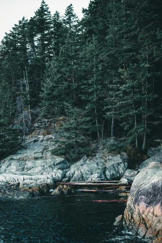 an idyllic body of water near lots of trees