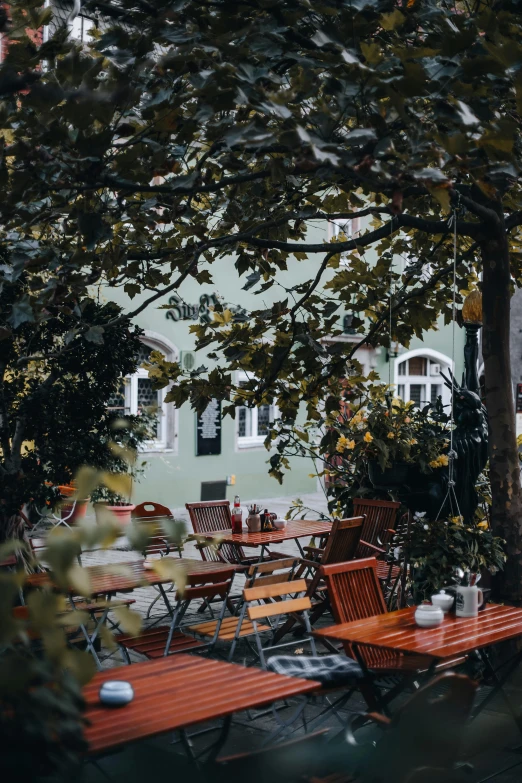 a row of wooden tables next to a tree