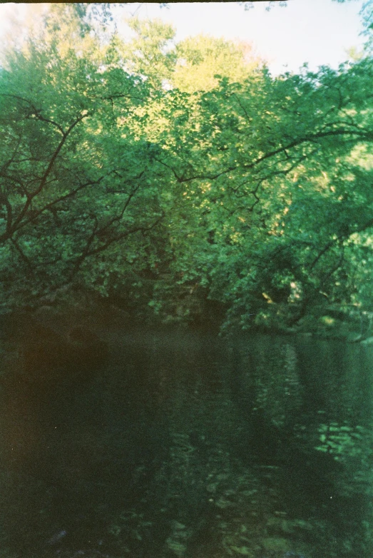 a bench sitting underneath some trees near the water