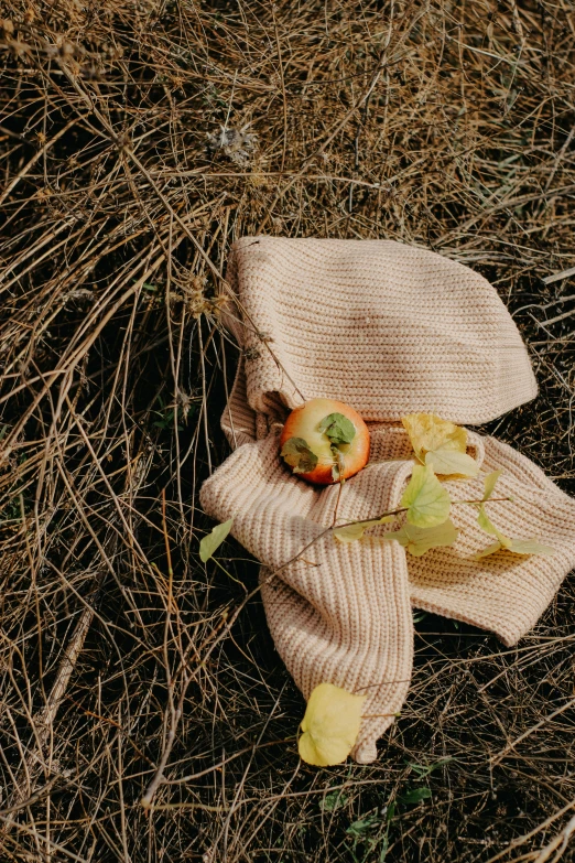 a piece of clothing on the ground with some apples inside