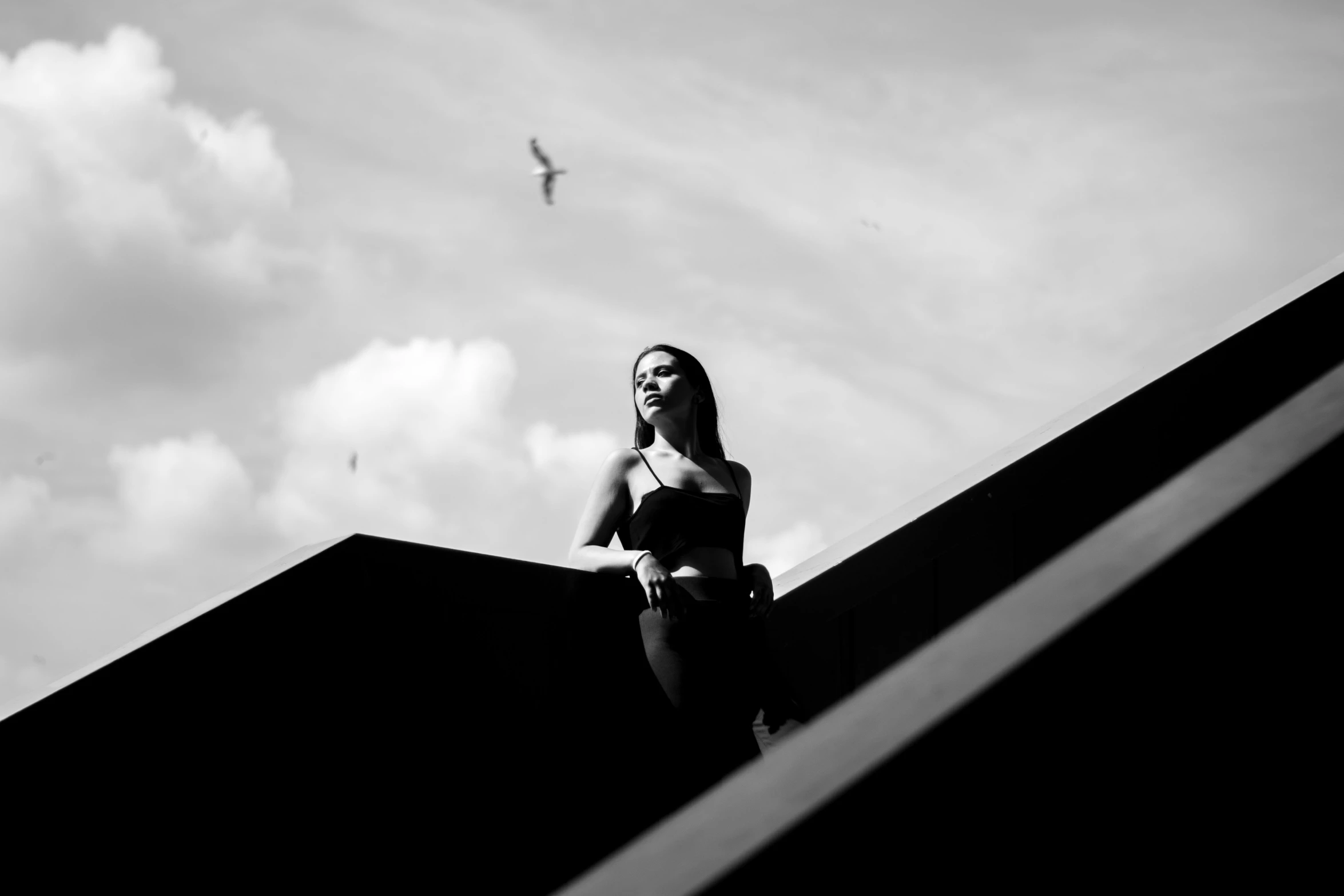 a woman stands on the edge of a wall as a bird flies overhead