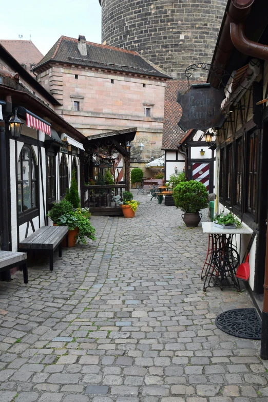 the street is busy with many shops and plants