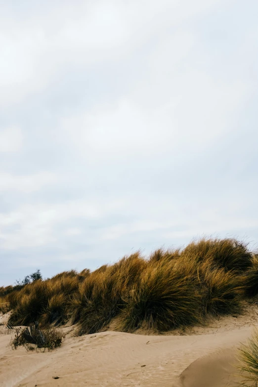 two surf boards are lying in the sand