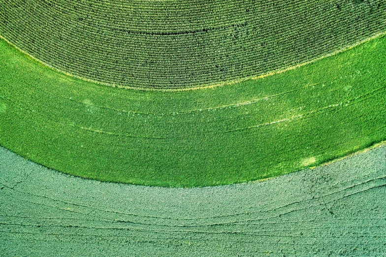 a green field that is surrounded by grass