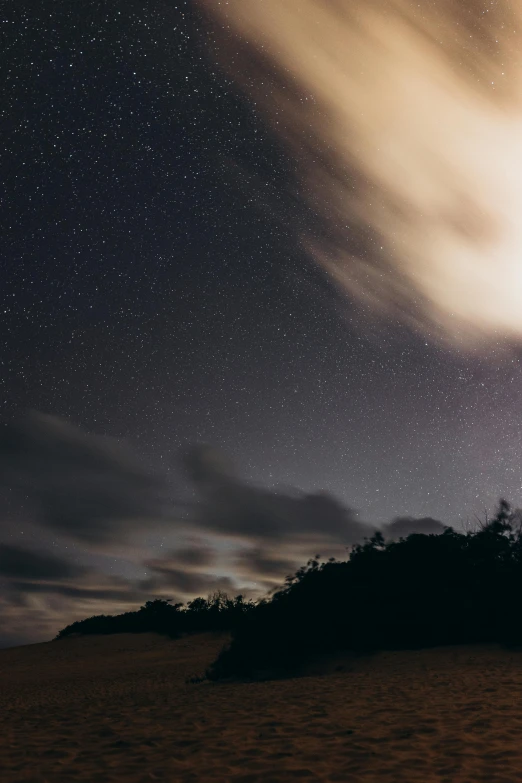 some trees some water and a sky with stars