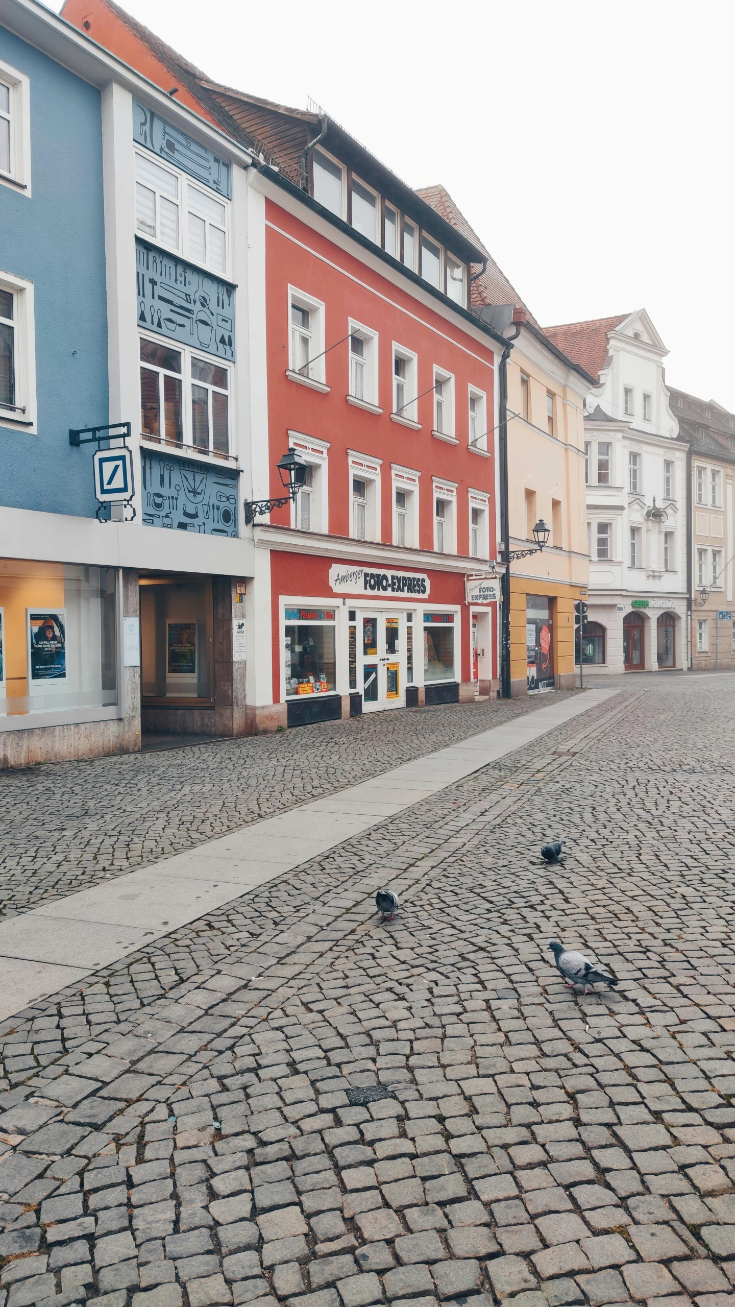 several multi - colored buildings and several pigeons on the cobblestone streets