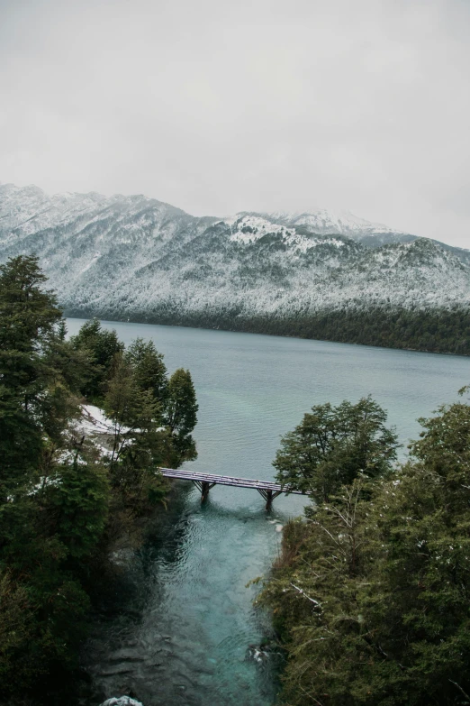 an aerial view of a river with trees and a bridge