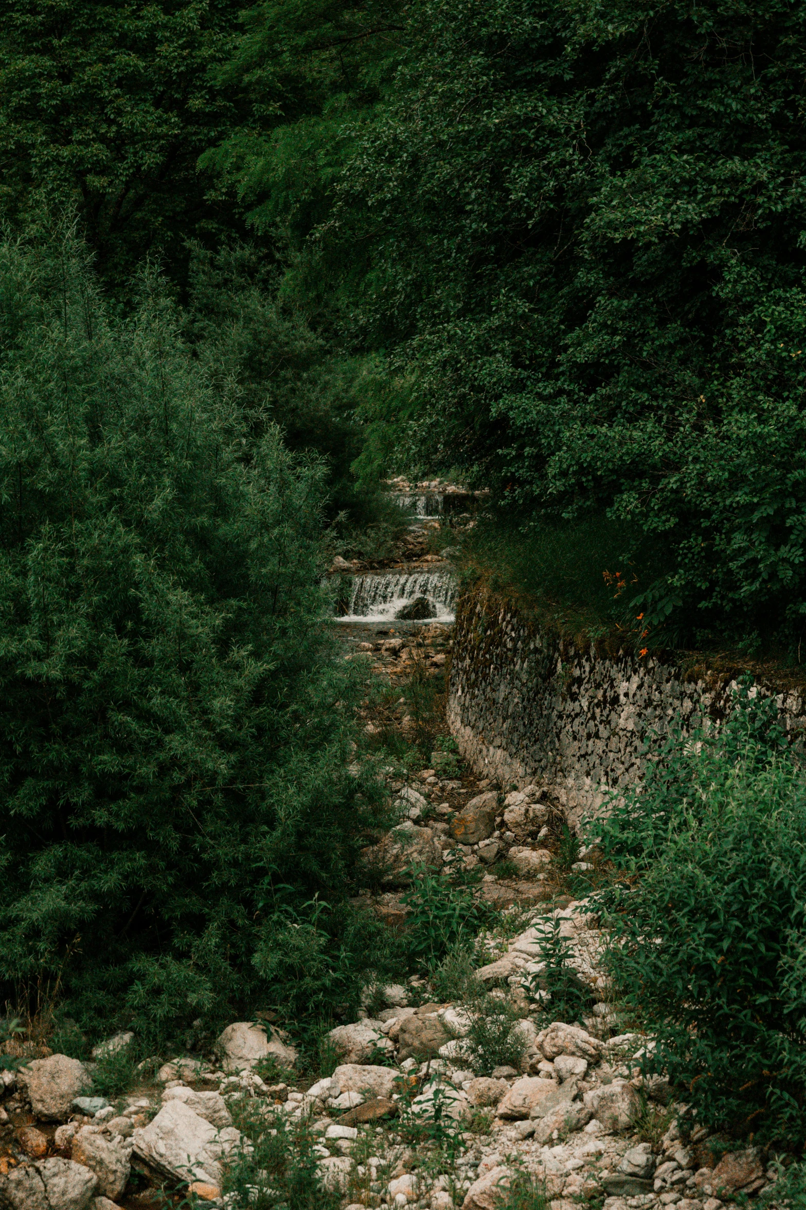 a stream is in between some trees and rocks