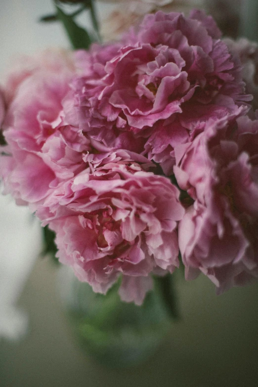 a close up of flowers in a vase with one pink flower in it