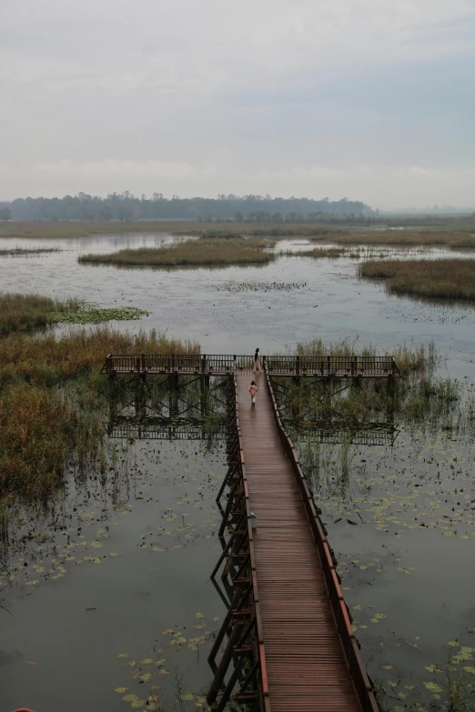 a wooden walkway across a body of water