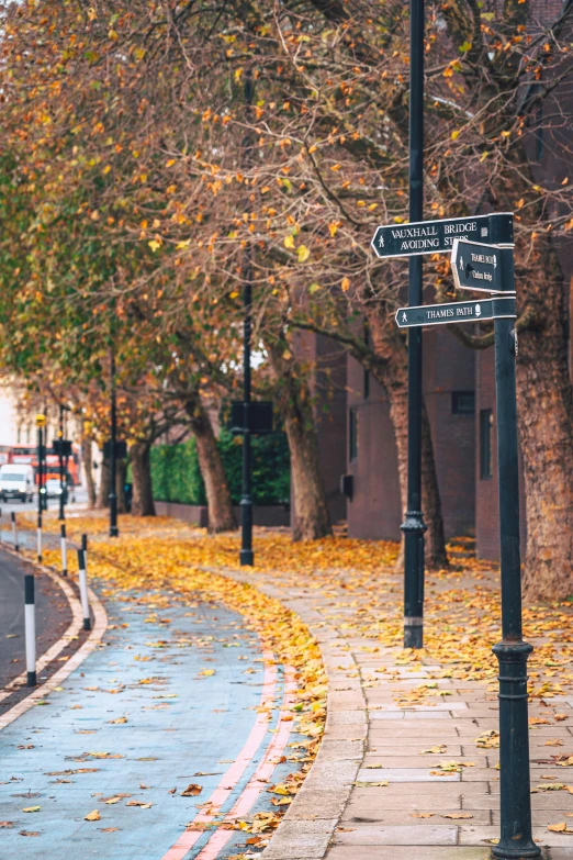 two road signs on an intersection surrounded by leaves