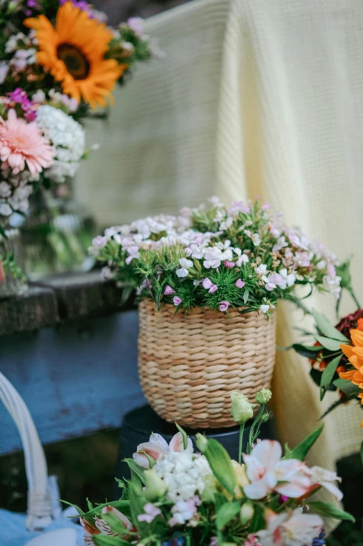 flower pots on display at an outdoor market