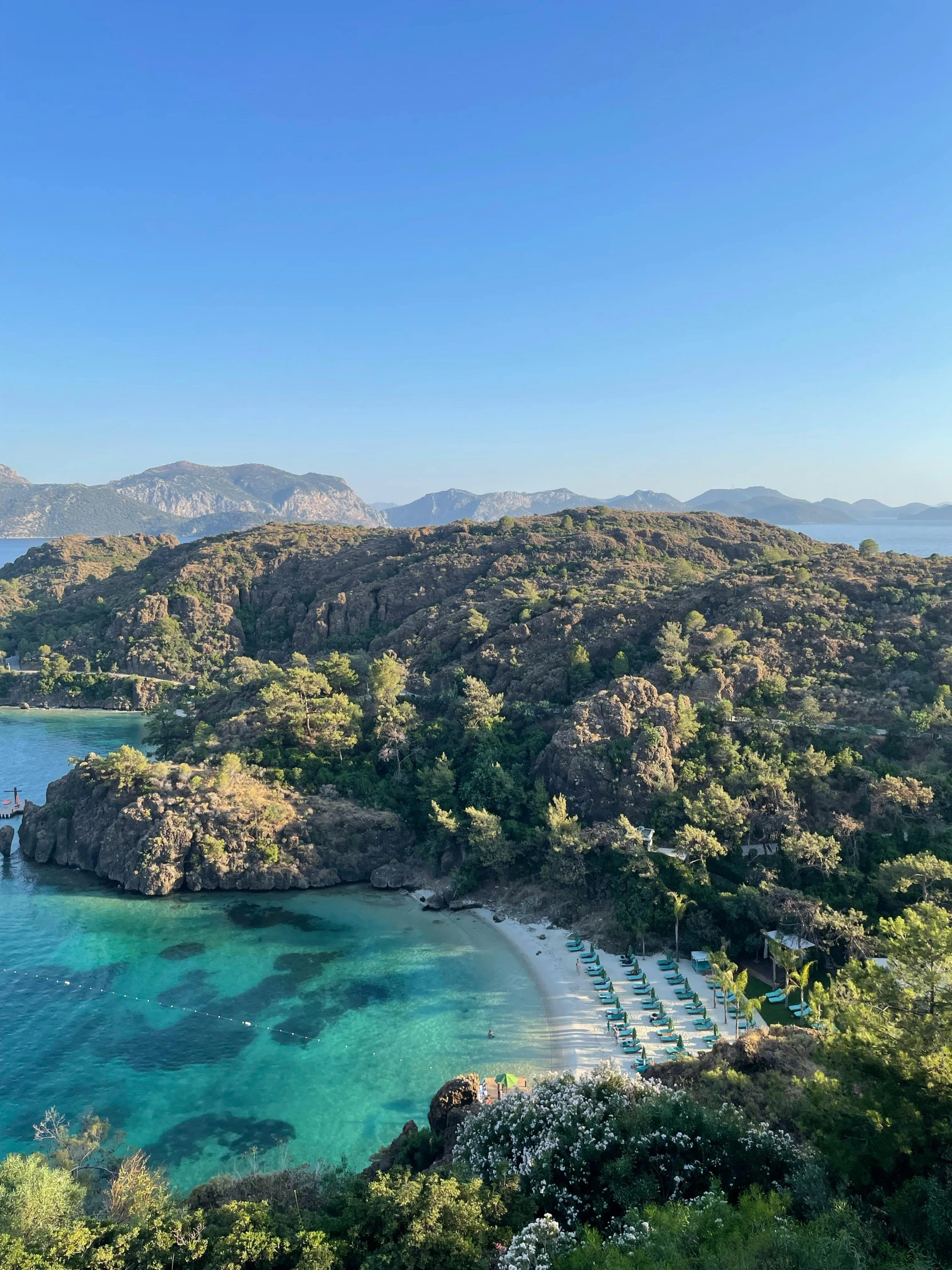 an aerial view of a beach surrounded by greenery