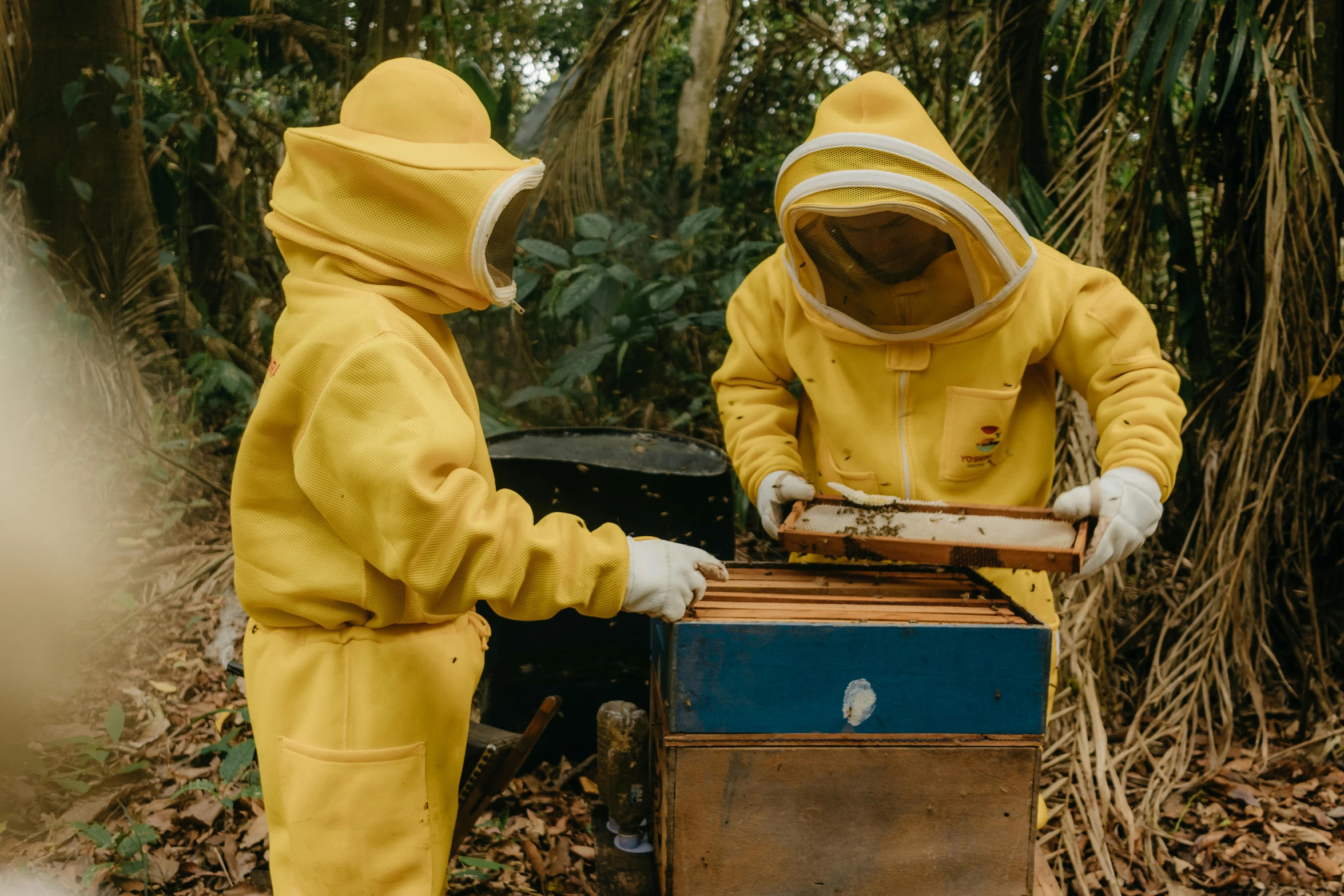 two beekeepers wearing yellow suits holding beeshikes in front of some shrubbery