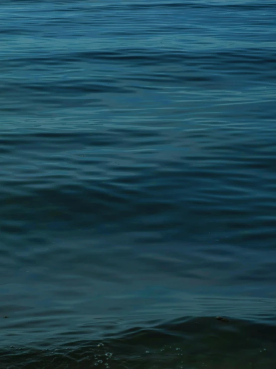 a person with a surfboard riding on some very calm water