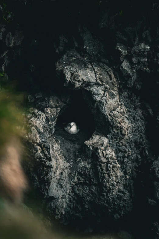 a cave with small white ball in it