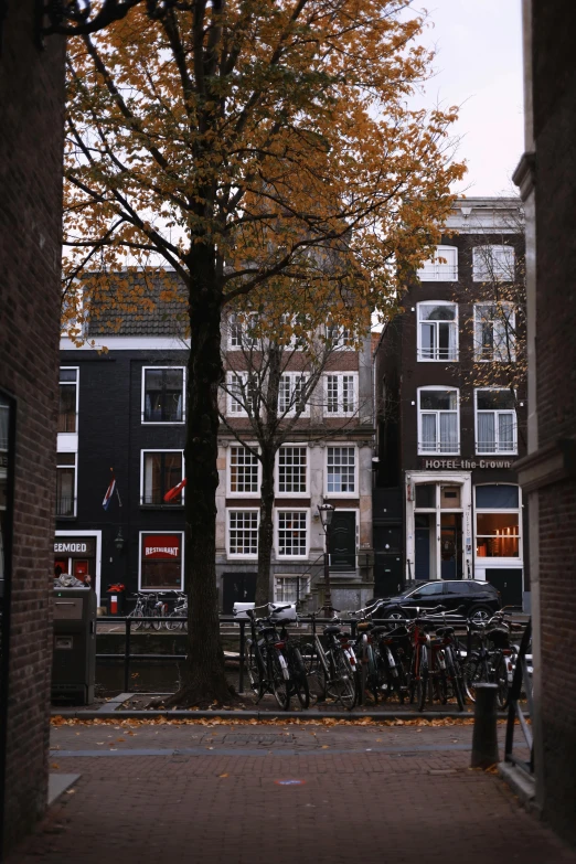 several bicycles parked outside many brick buildings