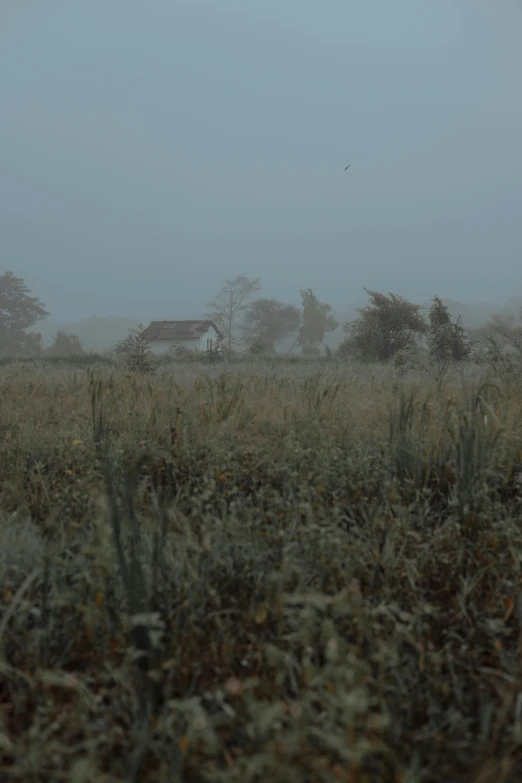 fog rolling in over a field in front of a house