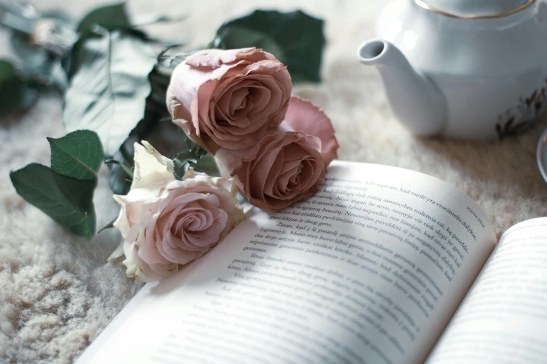 three pink roses sitting on top of an open book