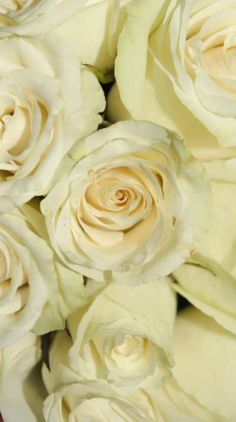 a bouquet of flowers is placed next to each other