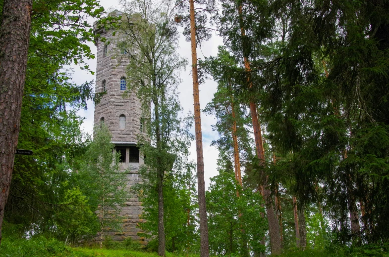 a stone tower surrounded by trees in the forest