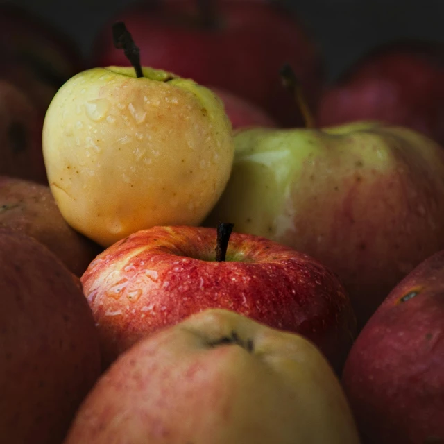 close up of a bunch of different types of fruit