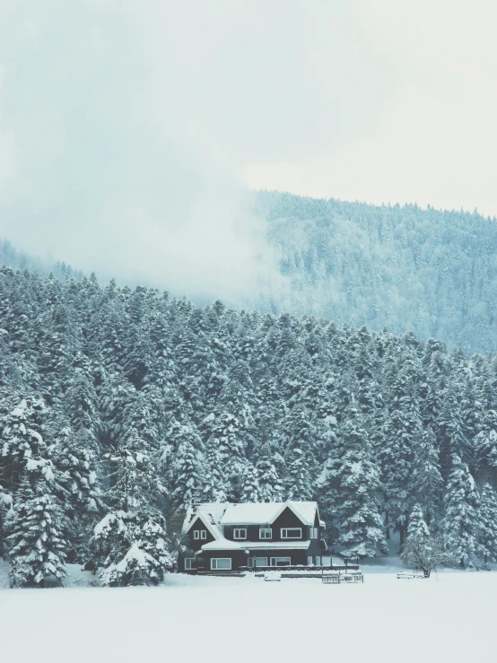 a big snowy hill with houses in the middle