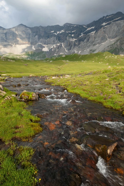 a field with a small stream flowing through it