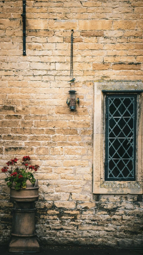 flowers and a potted plant in front of a brick building