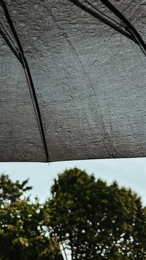 an umbrella that is next to a tree