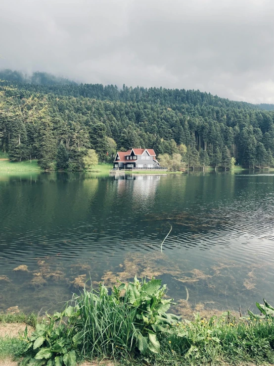 a calm lake with green vegetation near the shore