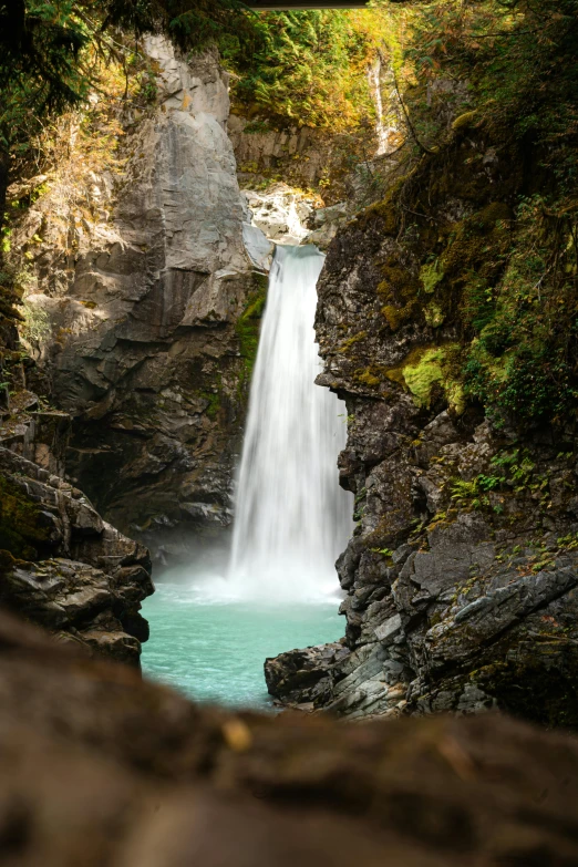 there is a small waterfall falling down in the woods