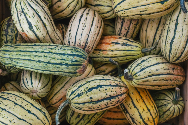 a box full of ornamental and decorative gourds