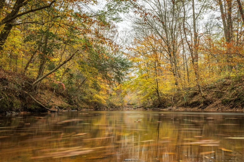 autumn foliage covers the forest and the shallow river