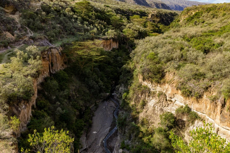 there is a narrow, green mountain gorge near a river