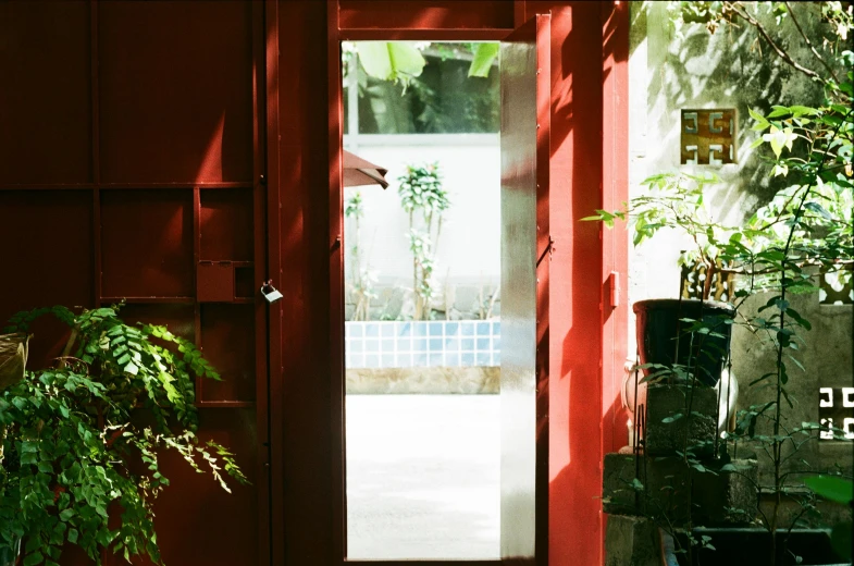 a door to a building with plants near it