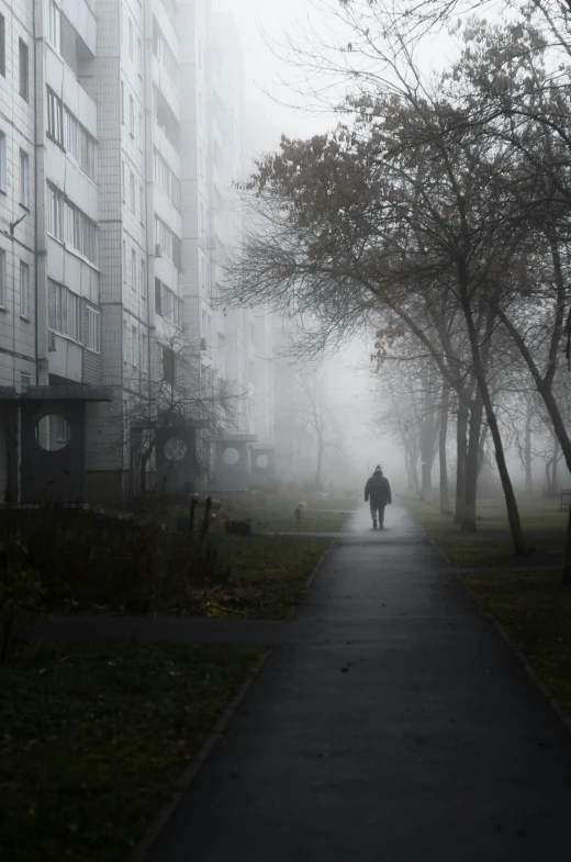 a person walking down a street in the fog