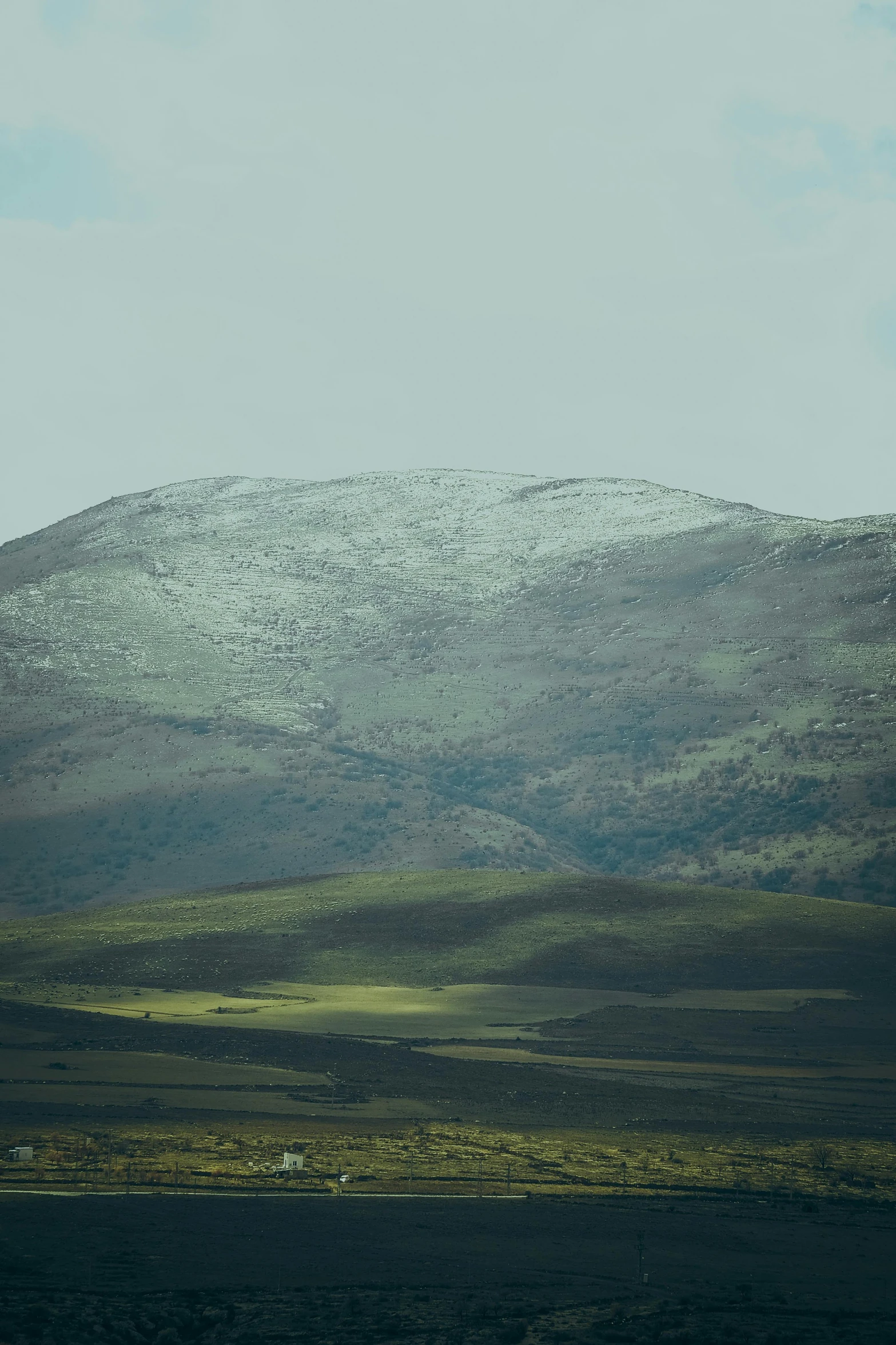 a grassy plain with mountains covered in snow