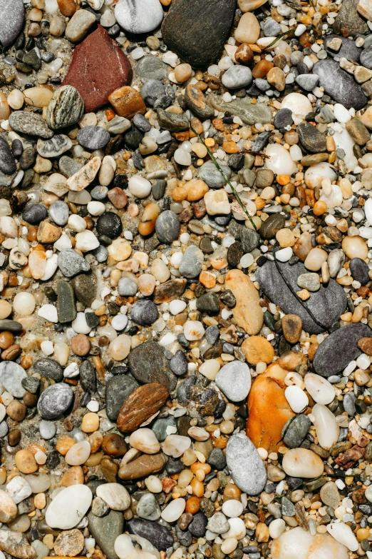 a very close up picture of a river rock bed