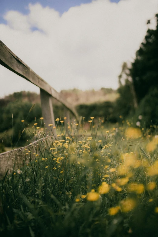 a fence that has some grass and some flowers by it