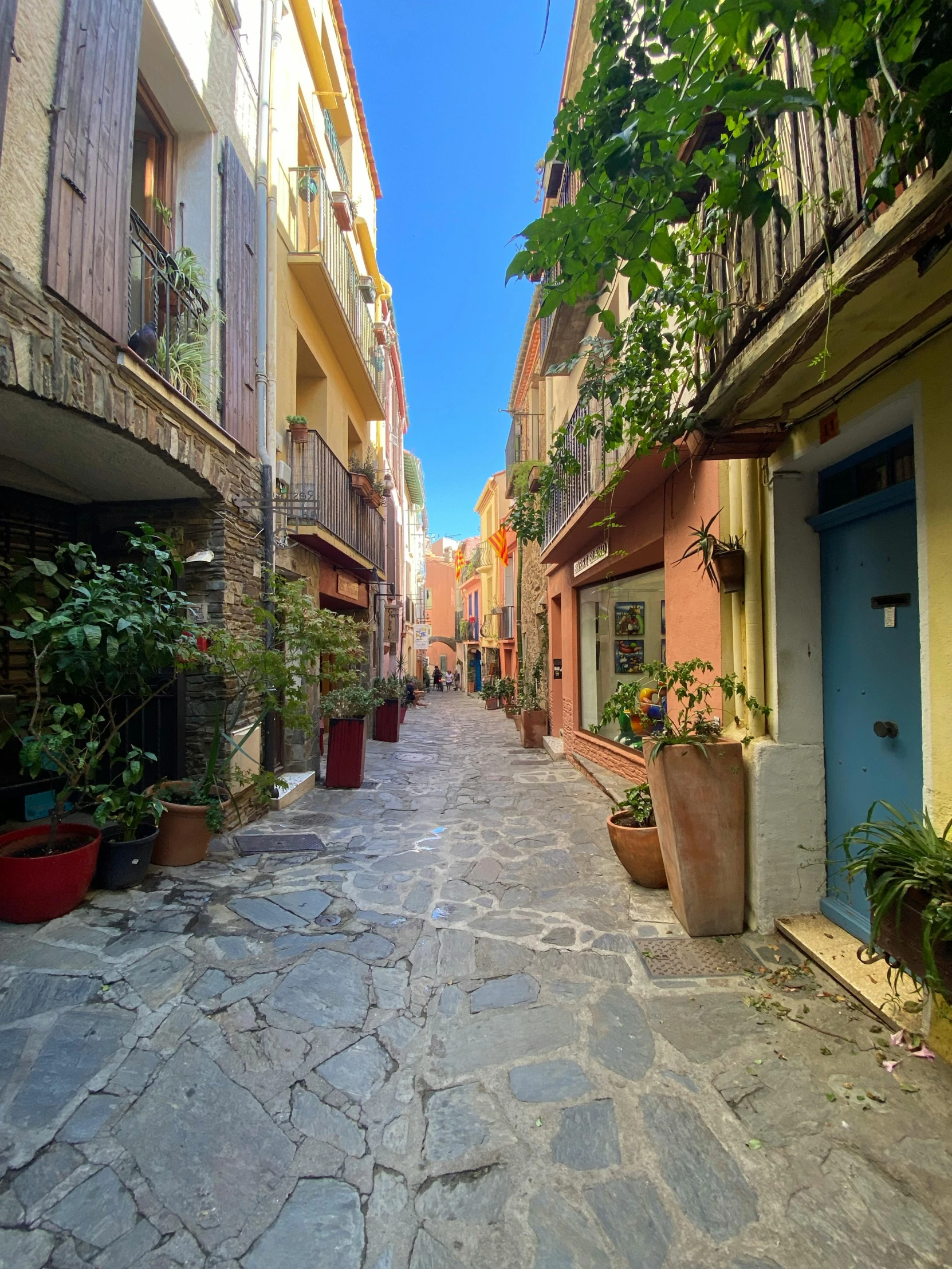 an alley in a small city with lots of plants